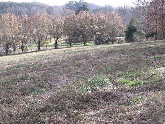 5th image of 0 Little Notchy Creek Rd