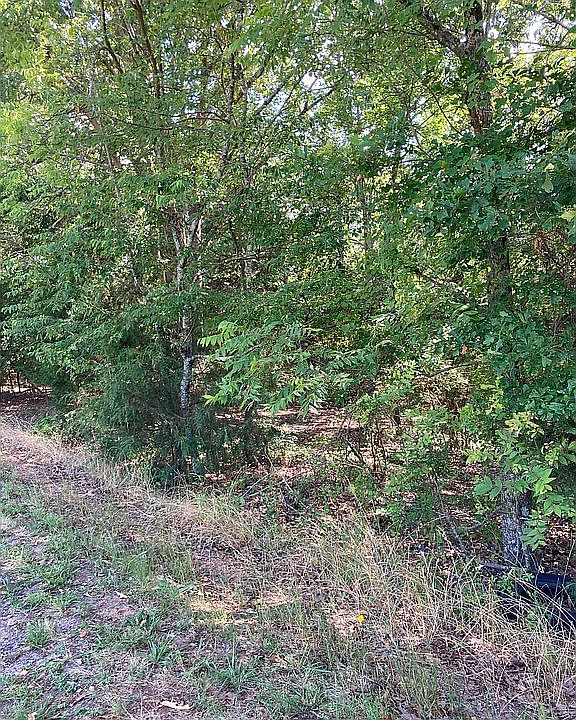 1st image of 0 Old 29 Hwy And Shirleys Way
