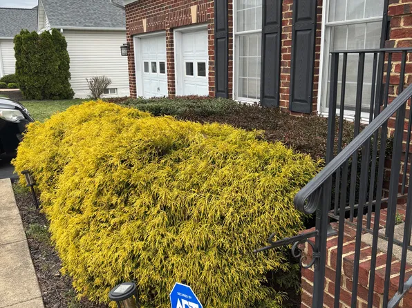 10801 Samantha Pl #2, Fredericksburg, VA 22408