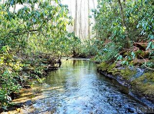 380 Holly Rd, Sapphire, NC 28774