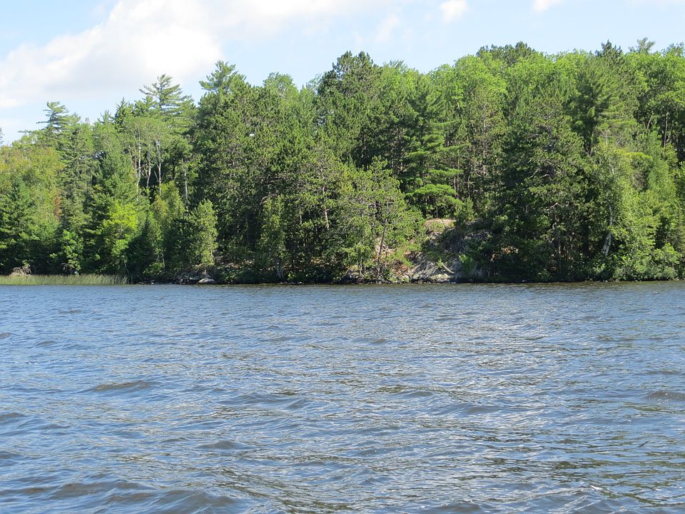 1st image of 95820 Pine Island