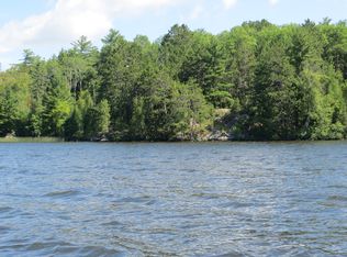 95820 Pine Island, Tower, MN 55790