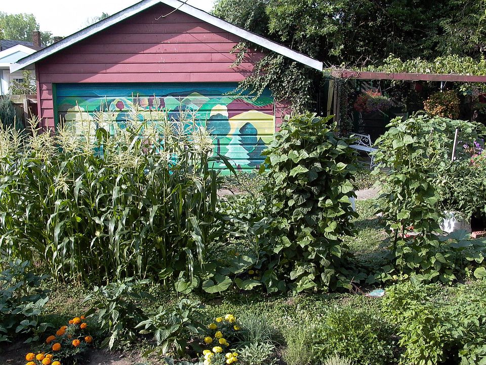 View of back organic garden & garage