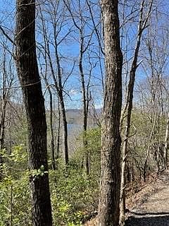 4th image of LOT 2 Mountain Morningstar