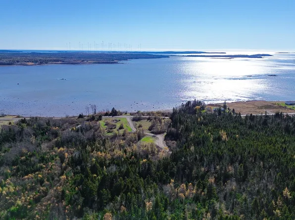 Lot 4 Holmes Bay Farm, Whiting, ME 04691