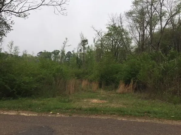 2250 Evergreen Dr, Jena, LA 71342