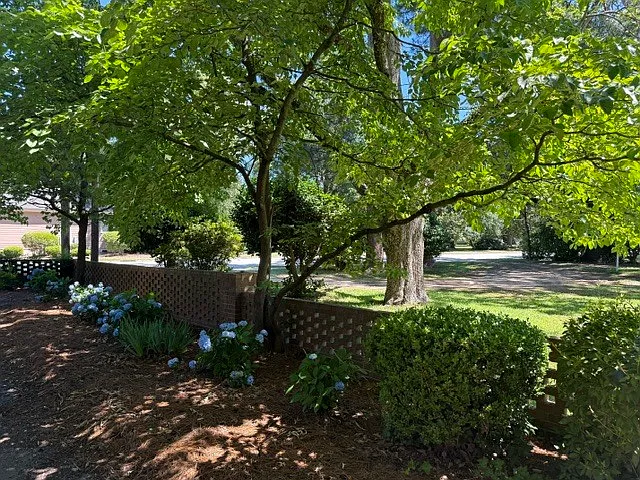 835 W Home Ave #D — Photo 5