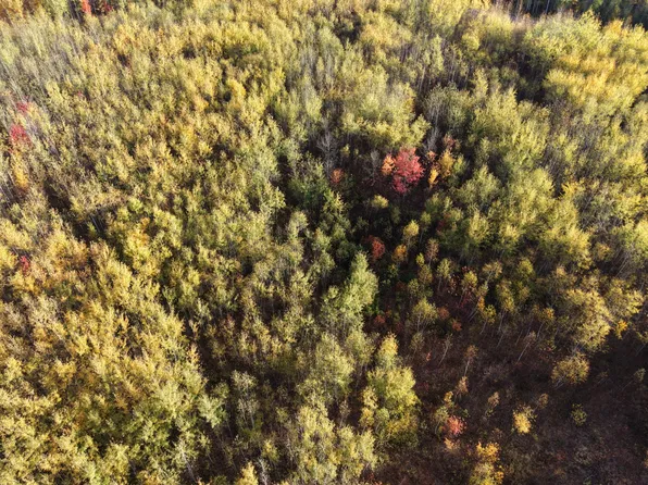 On Cth W, Winter, WI 54896