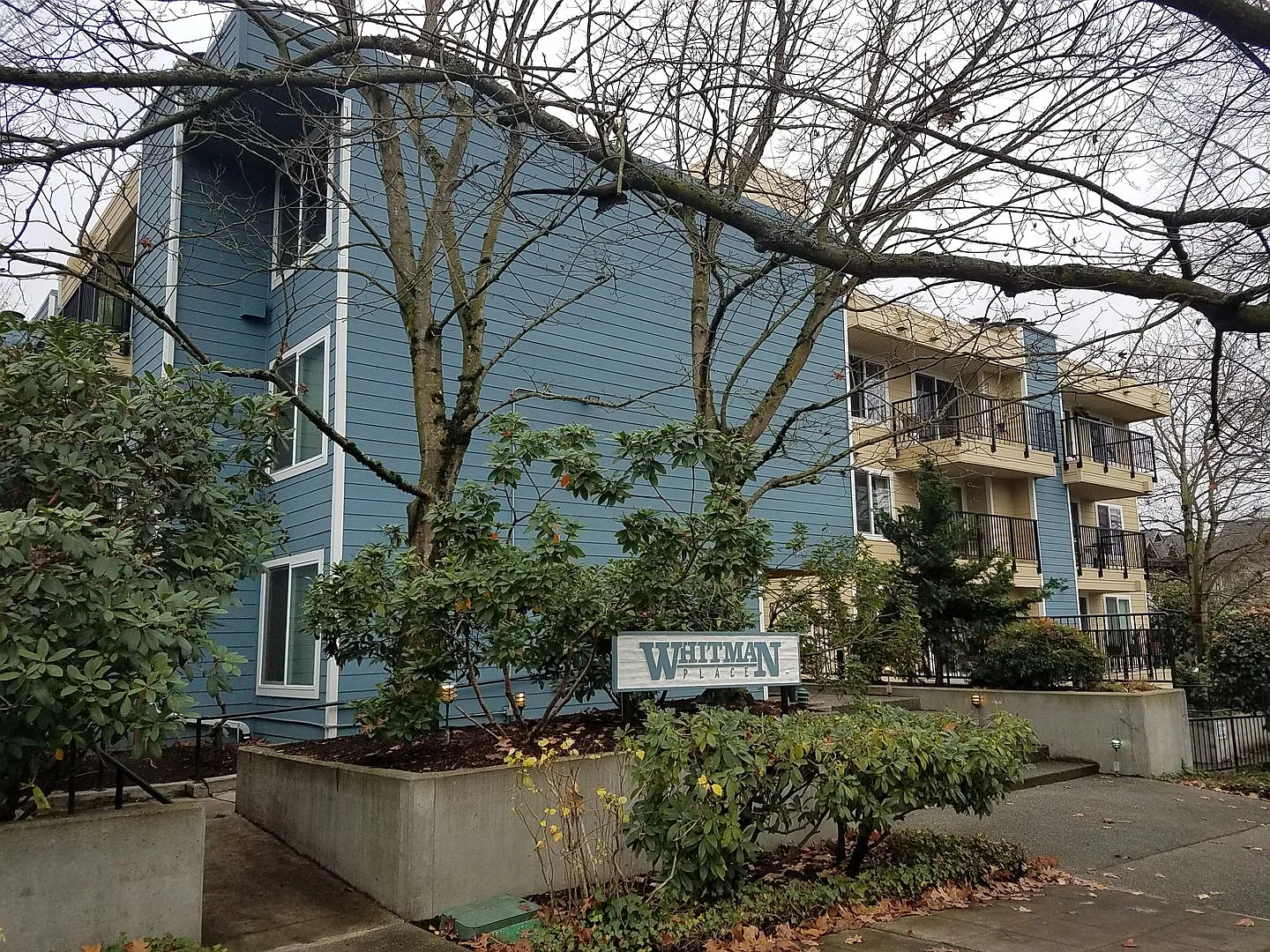 Beautifully Remodeled 1 Bed / 1 Bath in Wallingford/Fremont — Photo 2