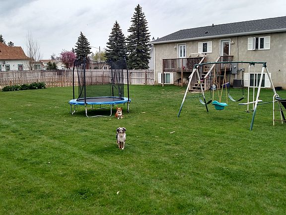 Large Fenced Backyard