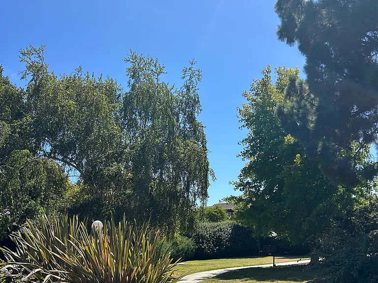 15 Vista Ln — Photo 17