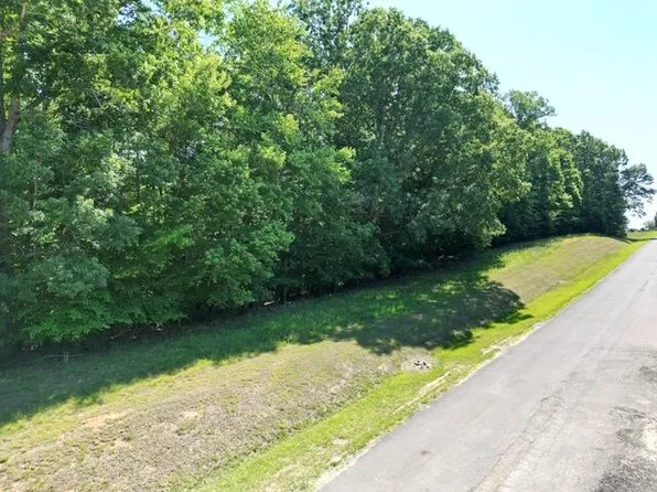 0 Sassafras Ct Lot 39, Moneta, VA 24121