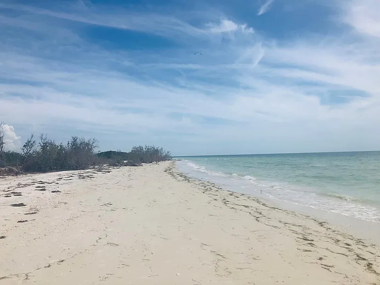 Tradewinds Dr — Photo 31