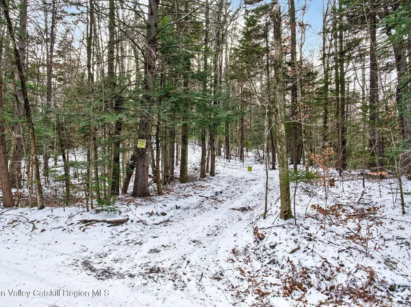 Tbd Roaring Kill Road, Elka Park, NY 12427