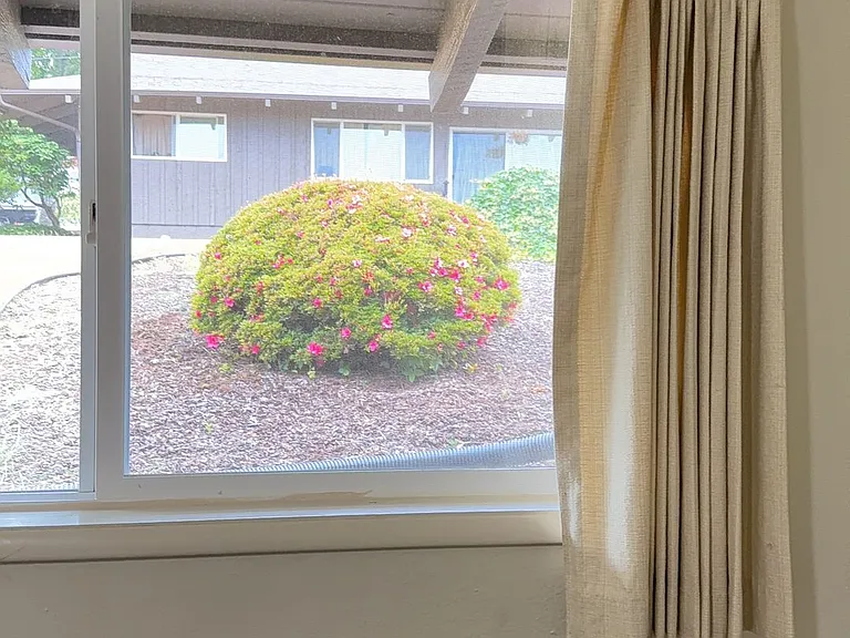 400 Beacon Hill Dr #12 — Photo 16