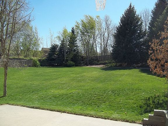 Backyard from Basketball Ct.