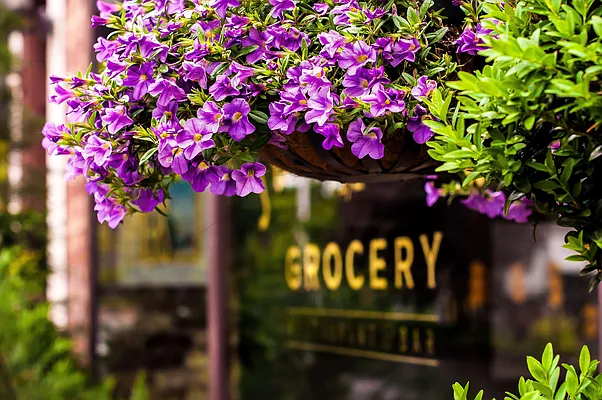 Rented by Bold New York | media 11