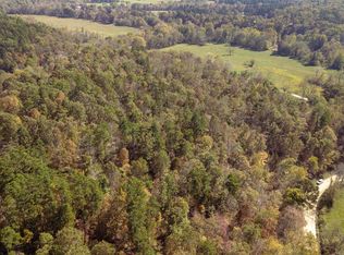 0 County Road 410, Poplar Bluff, MO 63901