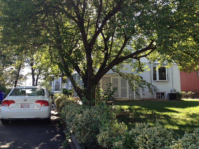 Beautiful yard with trees. Parking on driveway.