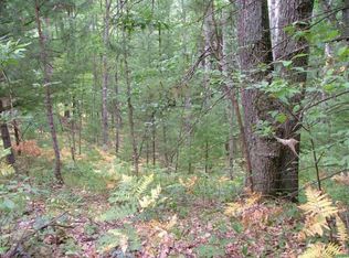 Huff Rd, Wellston, MI 49689