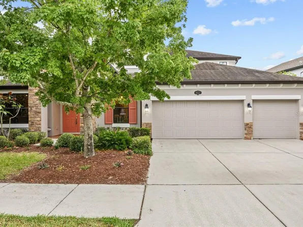 10527 Mistflower Ln, Tampa, FL 33647