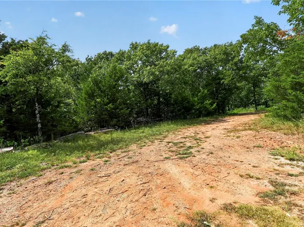14295 Blue Mountain Rd, Prairie Grove, AR 72753