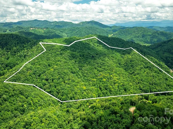 1710 Roaring Fork Rd, Mars Hill, NC 28754