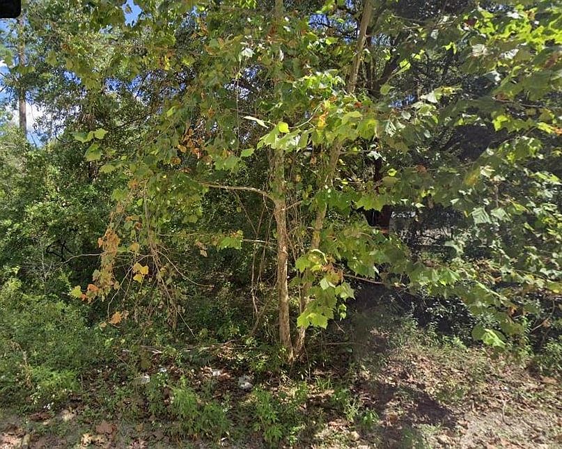 1st image of 10059 Blue Waters Rd
