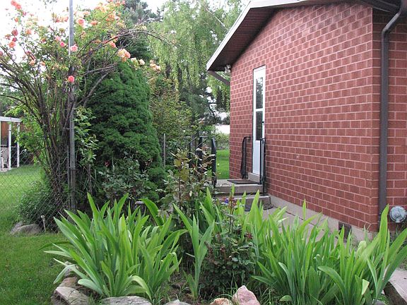 More rose bushes and flowers
