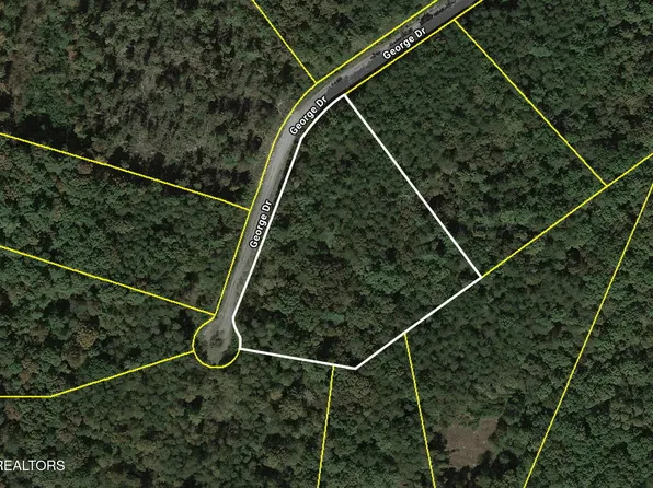 George Ln, Deer Lodge, TN 37726