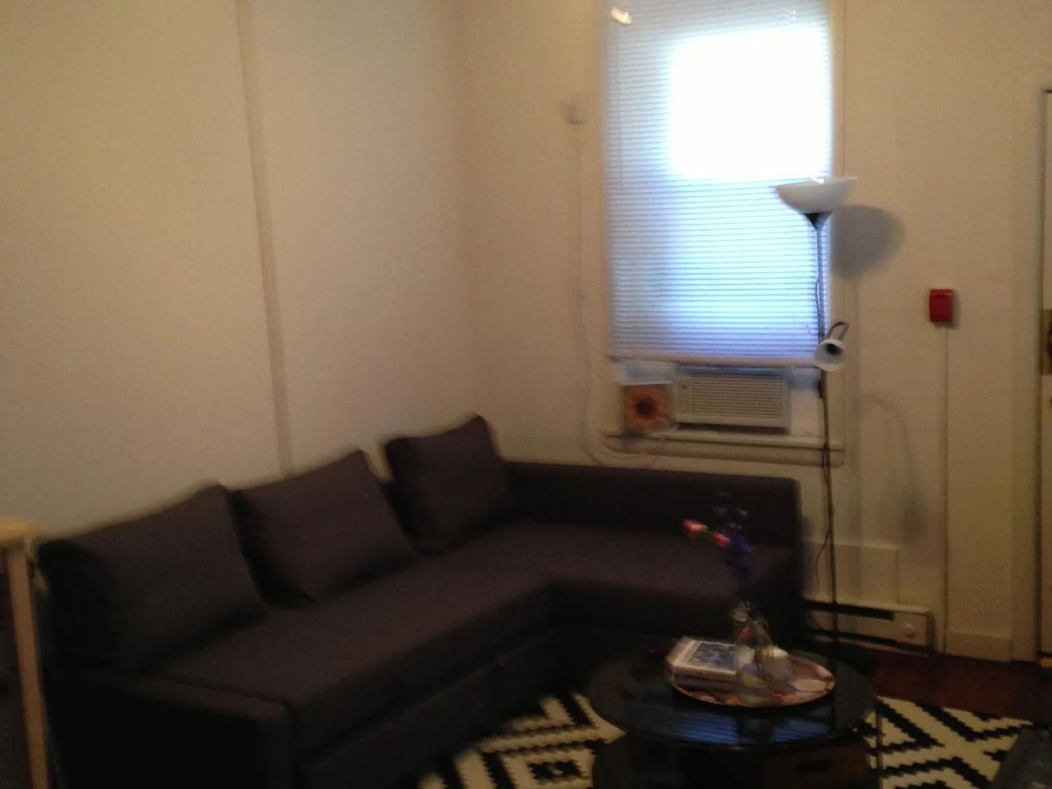 Studio, 230 sqft, $1,000 — Photo 2