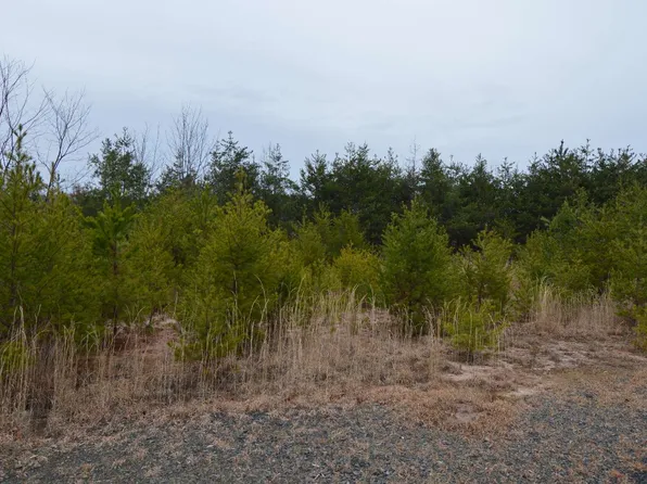 2 The Preserve At Bch, Hayesville, NC 28904