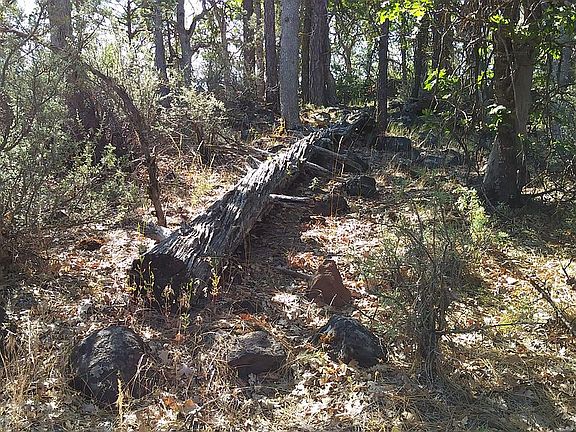 5th image of 23553 Mountain Wood Ln