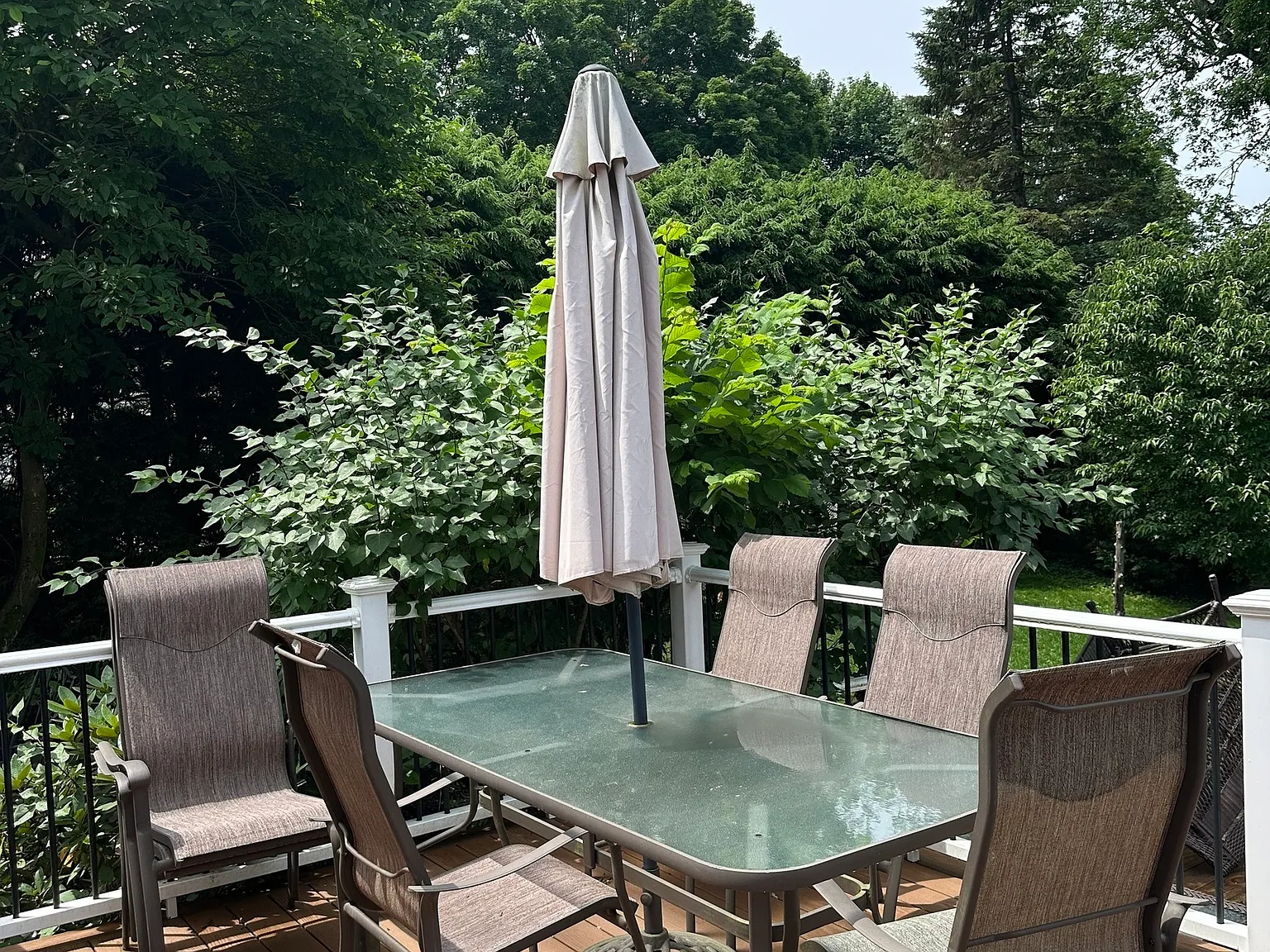 5 bed, 2.0 bath, 3106 sqft, $5,000 — Photo 4