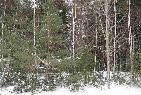 1st image of 4 Glen Meadow Dr