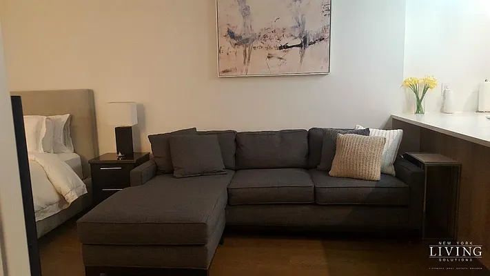 Rented by NY Living Solutions | media 7