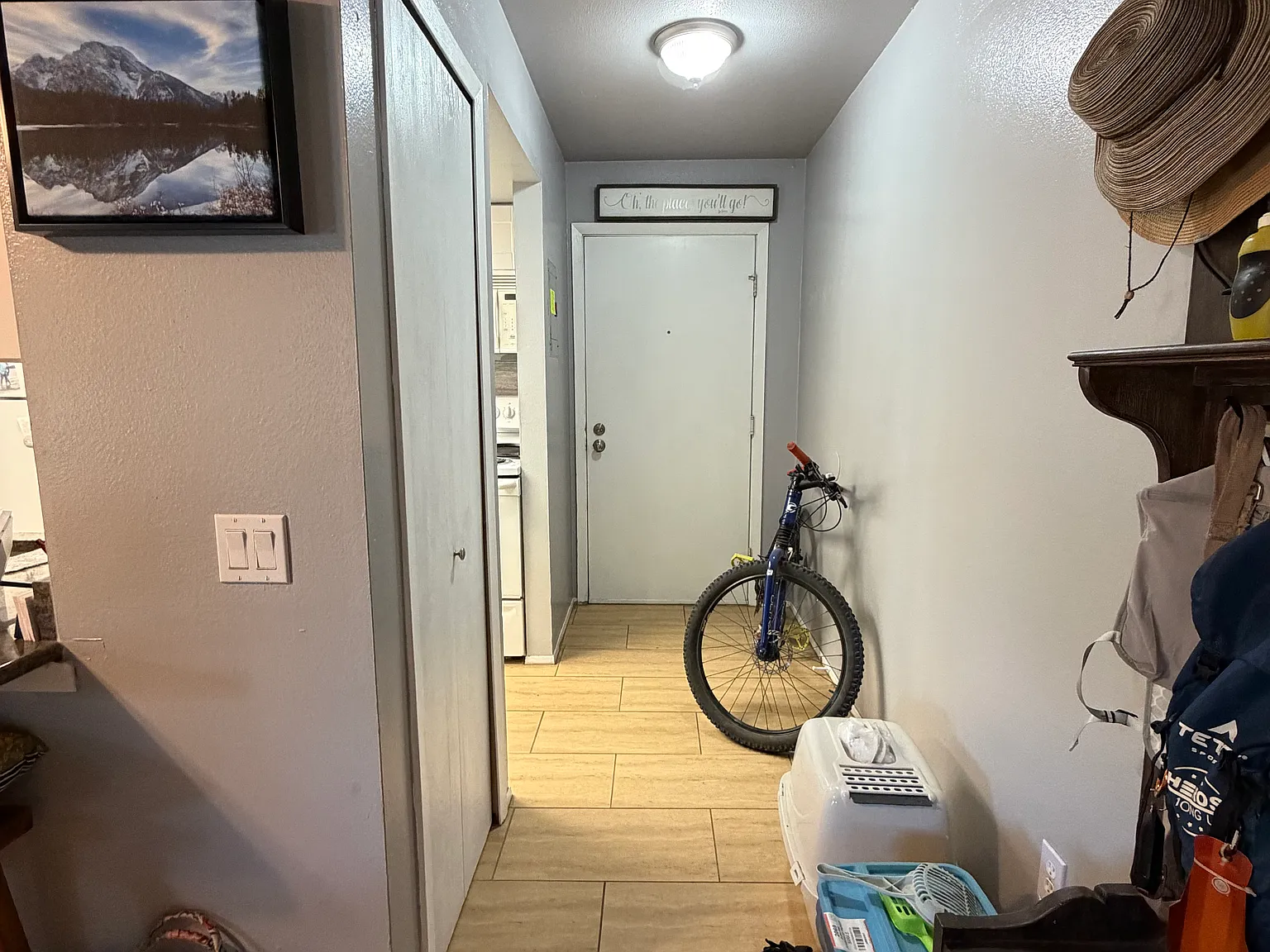 1 bed, 700 sqft, $1,450 — Photo 2