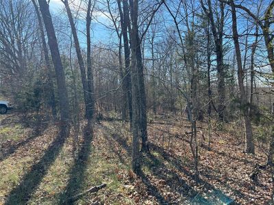 0 Highway Y, Elk Creek, MO, 65464