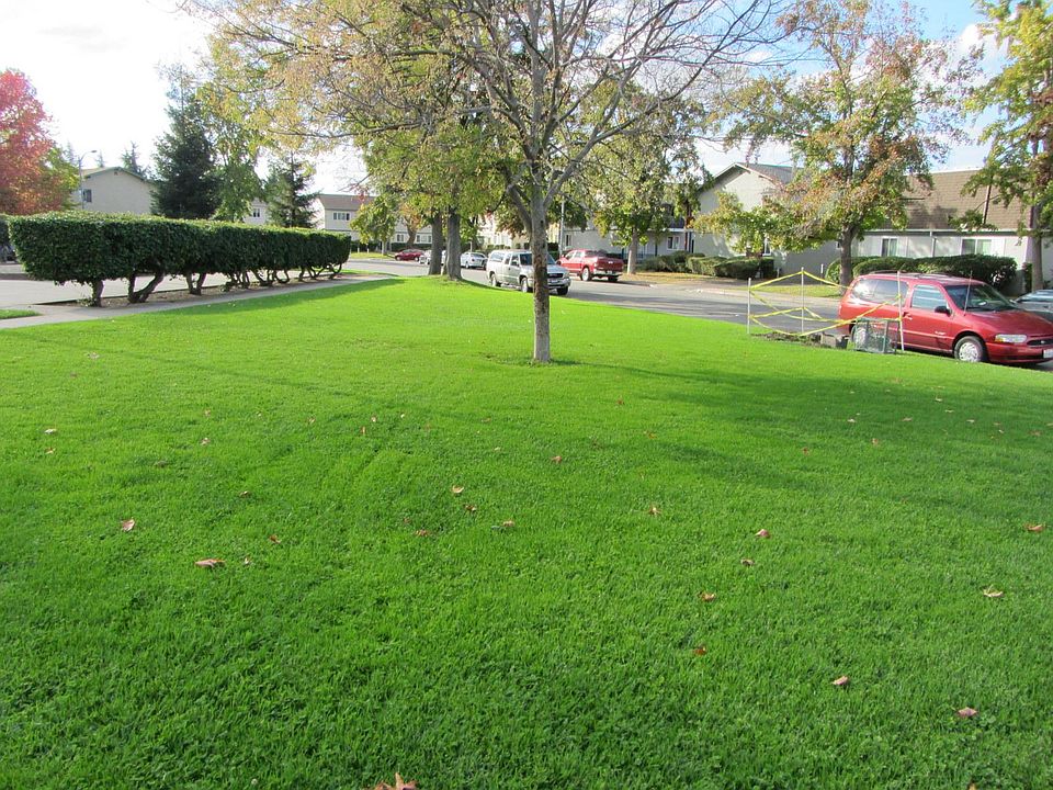 Ross Village Association Park
Tenants can use the park for gatherings