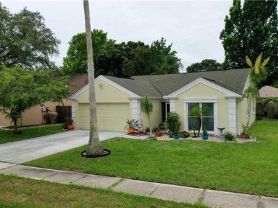 1619 Baker Rd, Lutz, FL, 33559