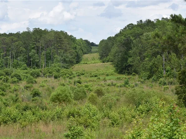 0 Lee Road 757, Opelika, AL 36804