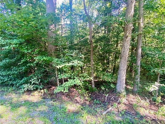 3rd image of 0 Springton Rd Lot 44