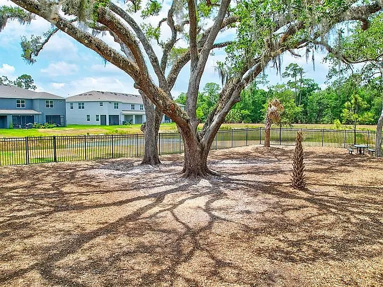 6594 Calypso Coral Ln — Photo 7