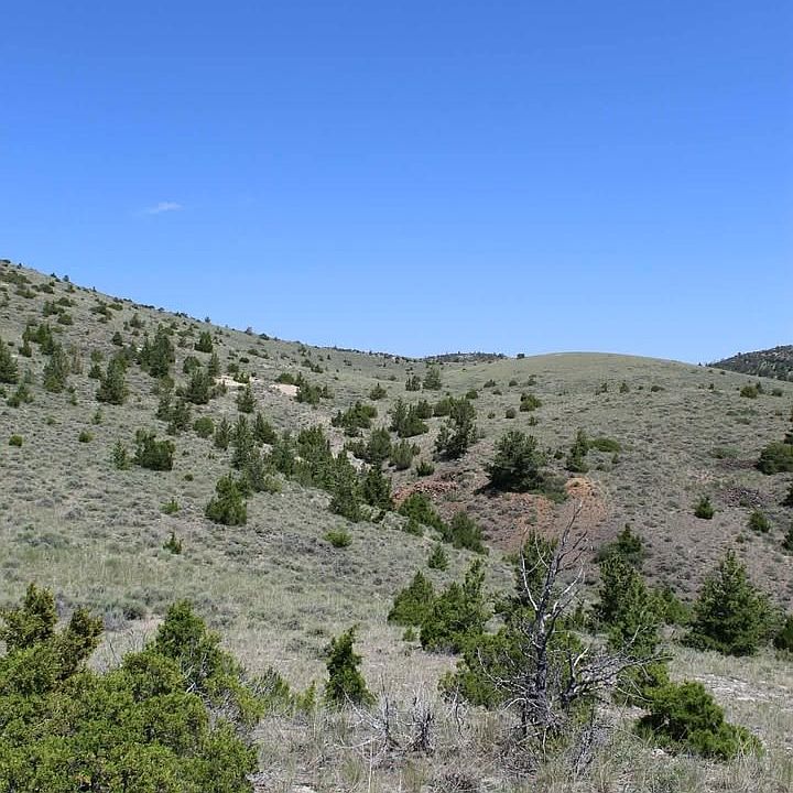 1st image of Silver Light Lode & Champion Lode