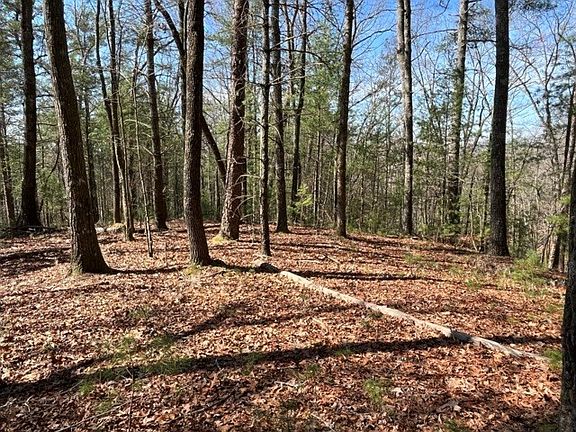 3rd image of LOT 24 Pickett Mill Ln