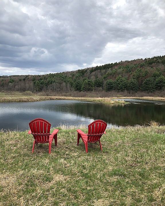 Springtime at the pond