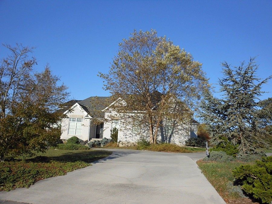 1st image of 105 Luxury Ln