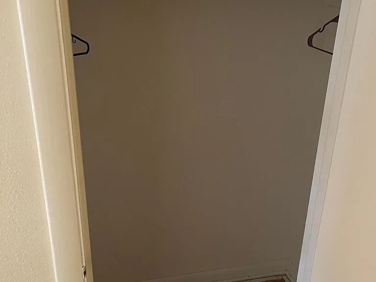 Hall closet