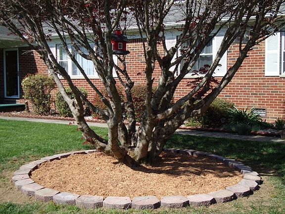 front with new landscaping