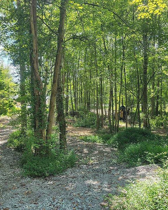 10137 S State Highway 501, Liberty, KY 42539 Zillow